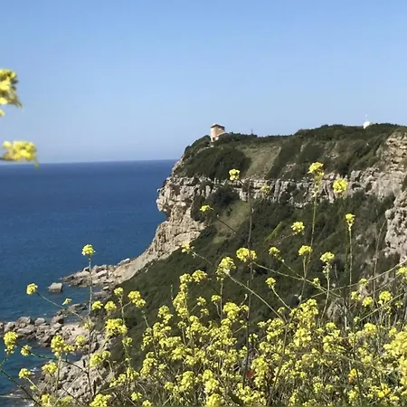 فيلة Sunset Dysis Afión