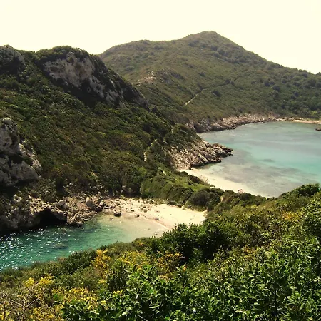 فيلة Sunset Dysis Afión